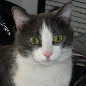 Meet your Posher, Angie